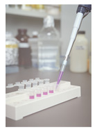 �A�N�g���B�@�����̃C���[�W�}